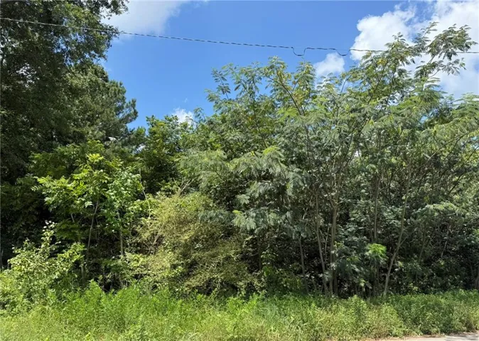 0 Beeler Drive Sw, Atlanta, Georgia 30315
