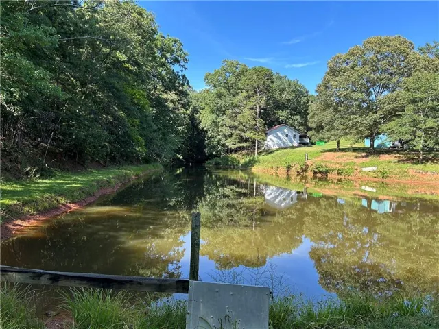Private pond with lush surrounding trees