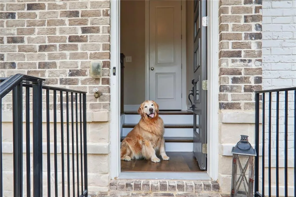 I am George Washington, a distinguished Golden Retriever, and it is my honor to present to you the unparalleled residence I am privileged to call home.