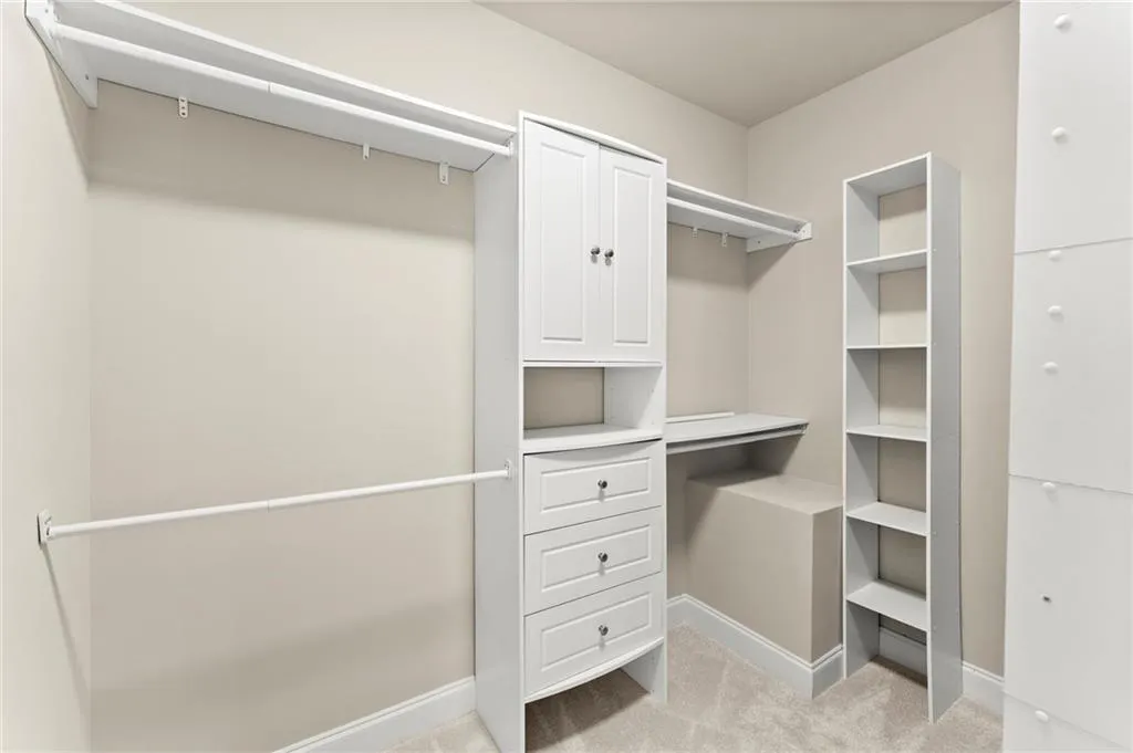 Spacious closet featuring light carpet