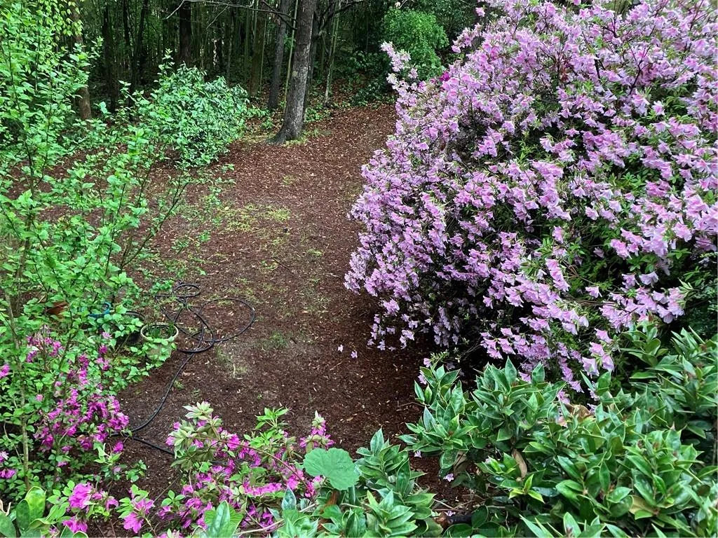 Landscaped for colorful beauty all year long!