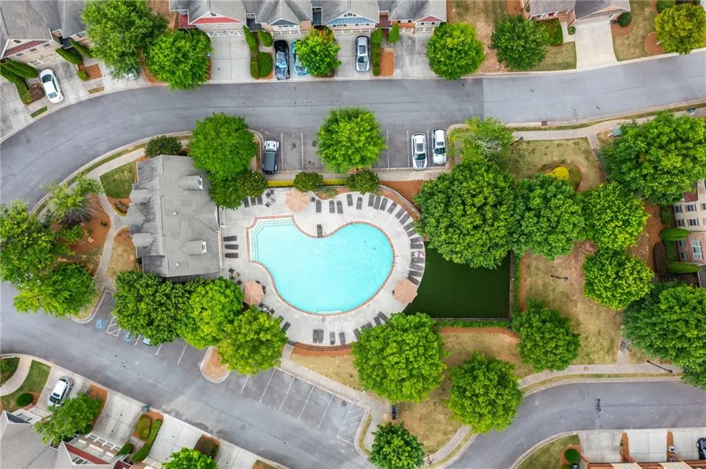 View of bird's eye view