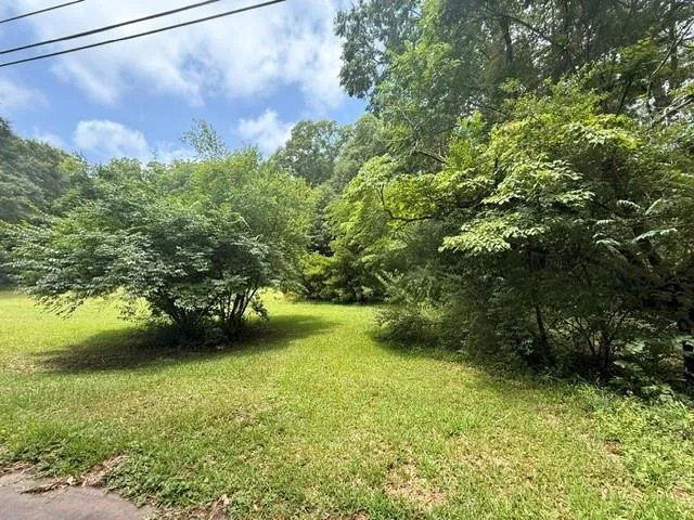 Expansive grassy area surrounded by mature trees and lush foliage, offering a sense of privacy