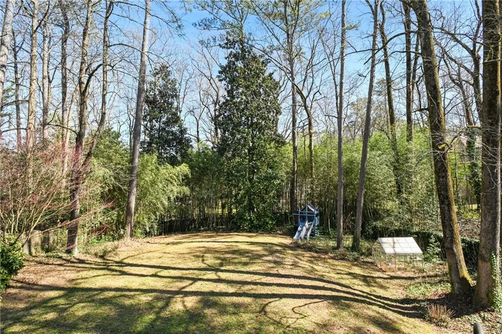View of back yard