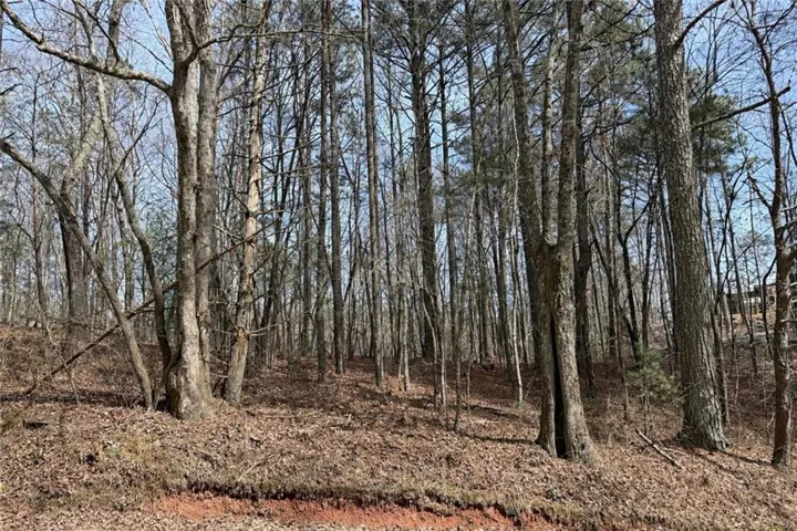 0 Bayou Drive, Ellijay, Georgia 30540
