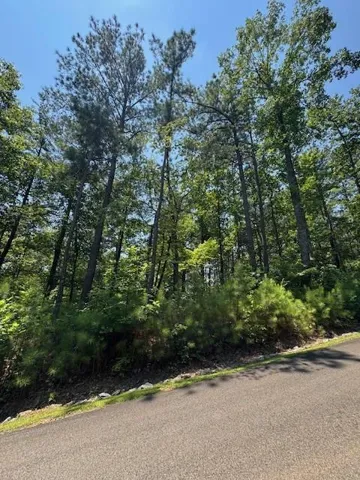 0 Carters View, Ellijay, Georgia 30540
