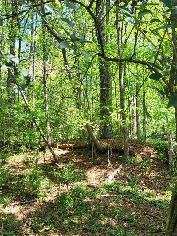 Fully Wooded