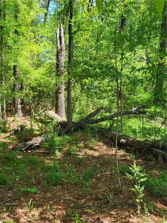 Hardwoods