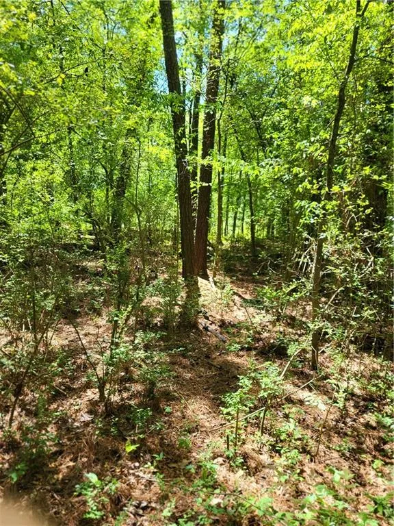 Wooded Lot