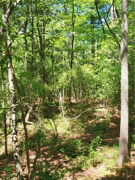 Mixture of trees