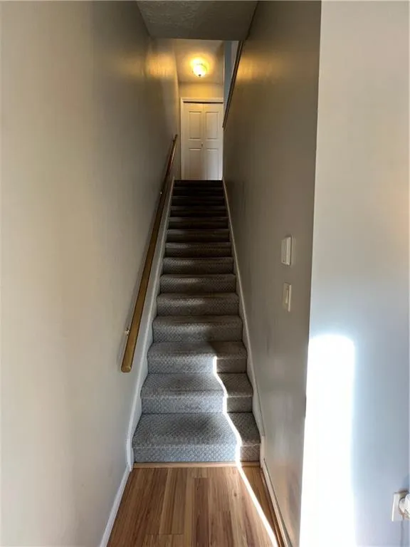 Stairs with hardwood / wood-style flooring