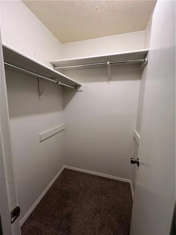 Spacious closet with carpet