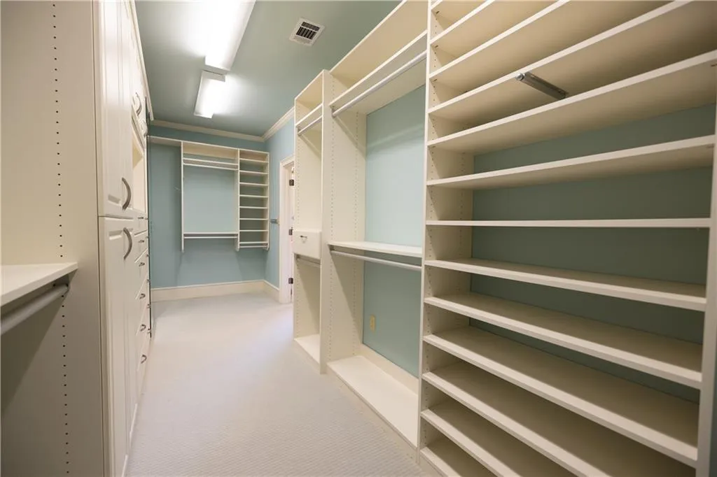 Spacious closet featuring light carpet