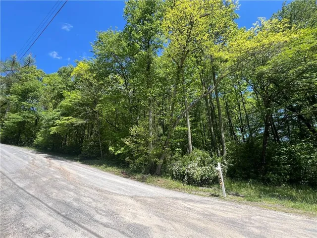 0 Sunrise Valley Road, Blue Ridge, Georgia 30513