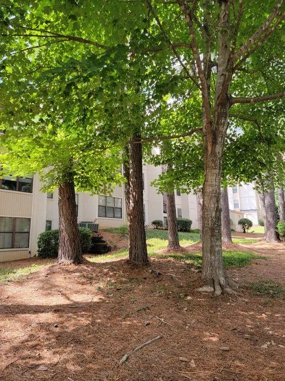 1604 Huntingdon Chase, Sandy Springs, Georgia 30350, 1 Bedroom Bedrooms, ,1 BathroomBathrooms,Residential,Sold,1604 Huntingdon Chase,6908488