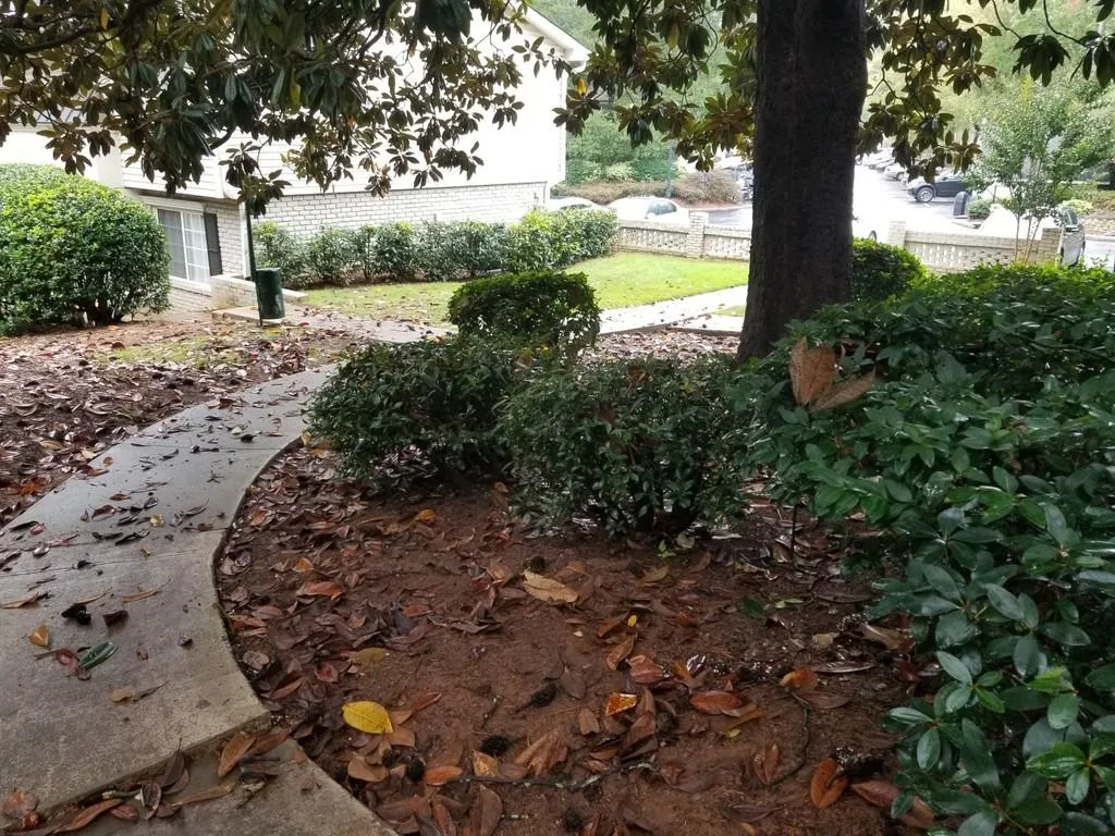 6940 Roswell Road Ne Unit 1b, Atlanta, Georgia 30328, 2 Bedrooms Bedrooms, ,1 BathroomBathrooms,Residential,Sold,6940 Roswell Road Ne Unit 1b,6803560