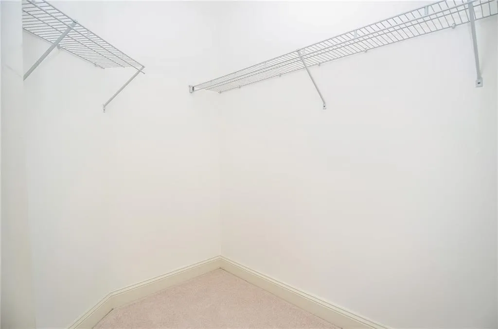 Walk in closet featuring carpet floors