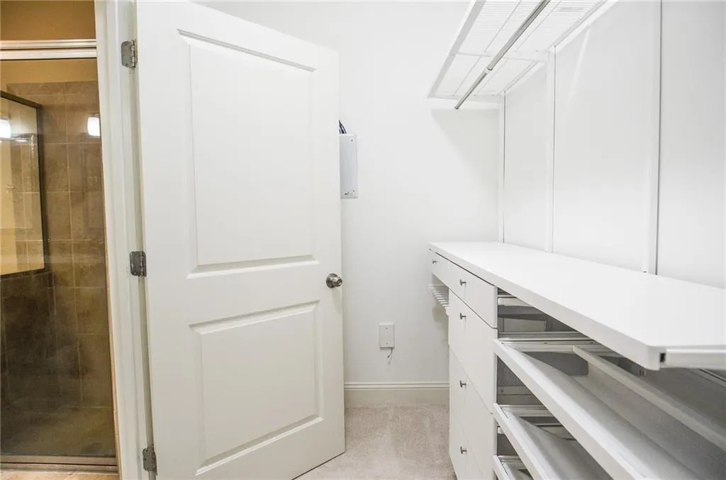 Spacious closet featuring light colored carpet