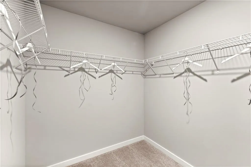 Walk in closet with light carpet