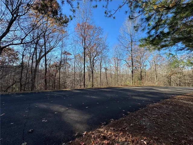 View of road featuring a forest view