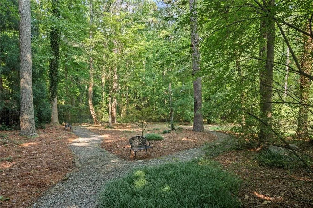 Walking path in backyard