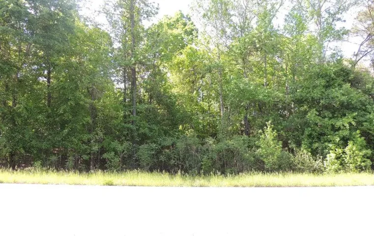 0 Causey Rd, Knoxville, Georgia 31050