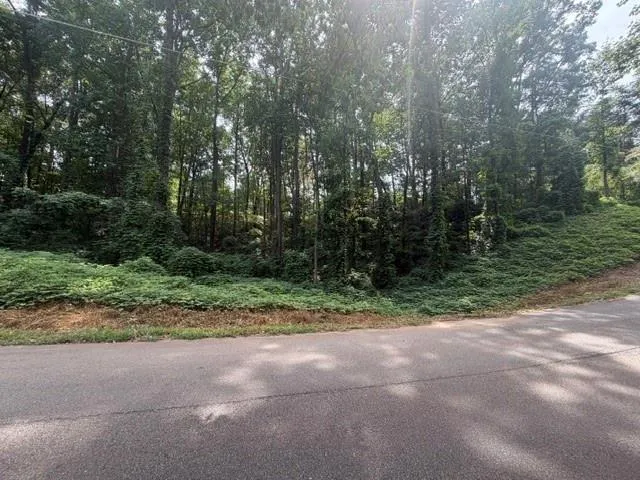 Mature trees and abundant foliage