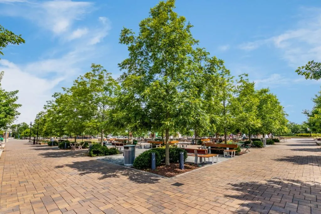 5560 Arundel Drive, Sandy Springs, Georgia 30327, 5 Bedrooms Bedrooms, ,4 BathroomsBathrooms,Residential,Sold,5560 Arundel Drive,7066266