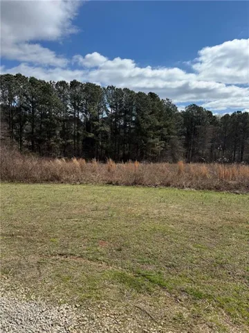 View of grassy yard