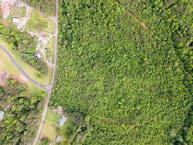 98 Clayton Drive, Bremen, Georgia 30110