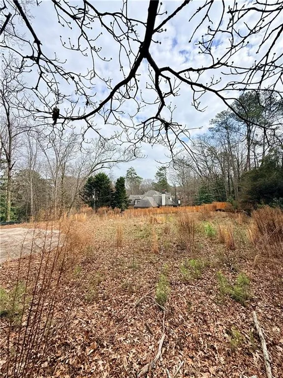 View of local wilderness