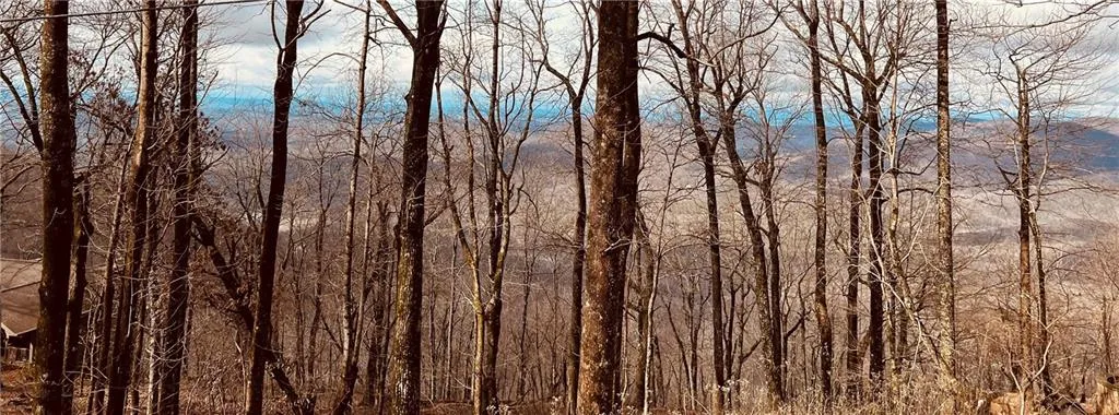 280 Big Stump Mountain Trail, Jasper, Georgia 30143