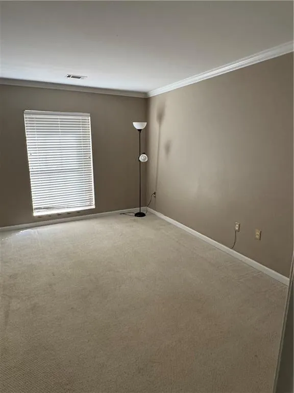 Carpeted spare room featuring crown molding and baseboards