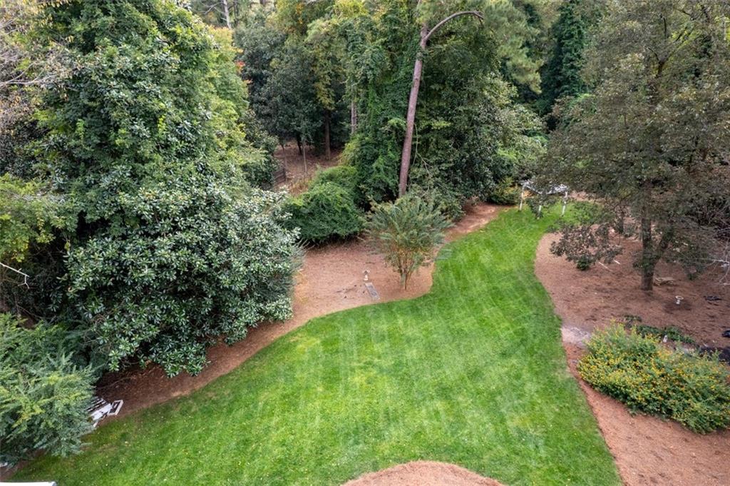 Aerial view of the backyard
