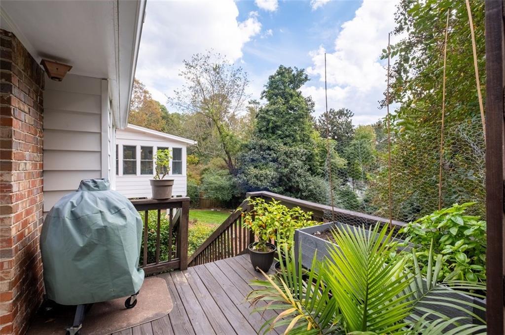 Back entrance/deck
