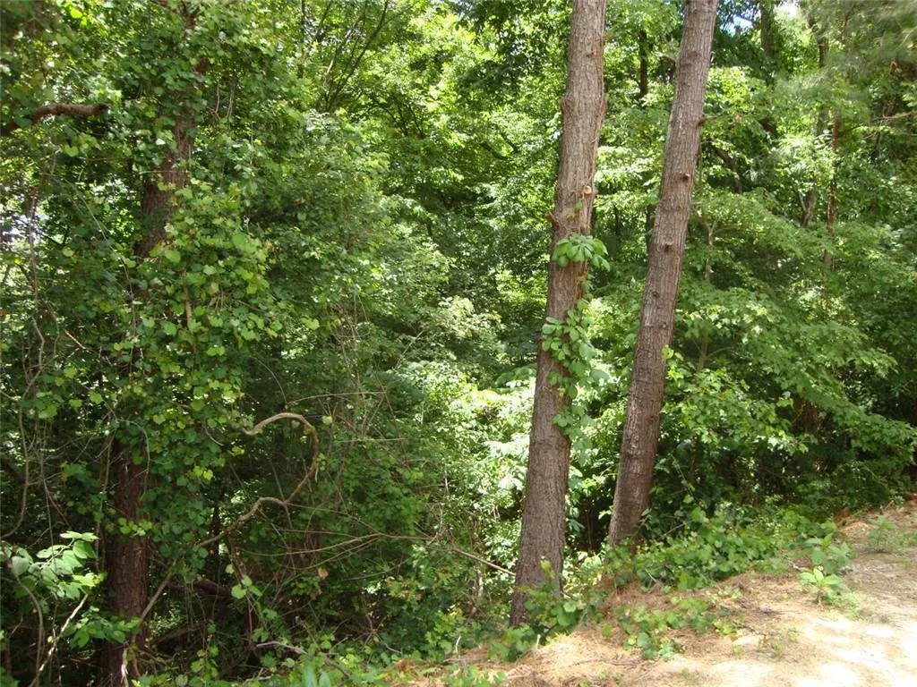 1204 Santa Fe Parkway, Atlanta, Georgia 30350, 1 Bedroom Bedrooms, ,1 BathroomBathrooms,Residential,Sold,1204 Santa Fe Parkway,6892274