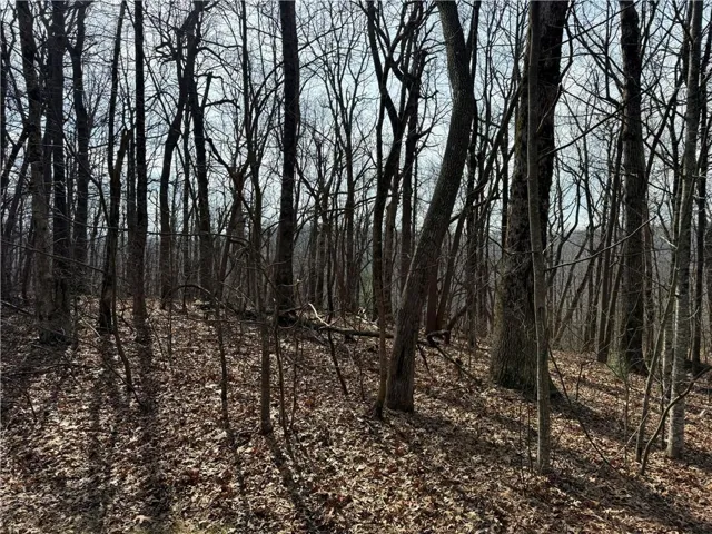 1170