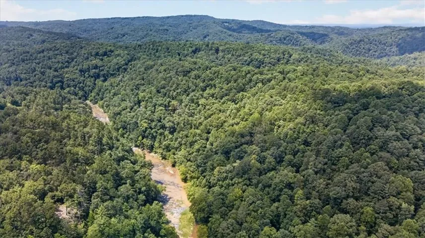 Expansive forested landscape featuring a winding river and distant mountains