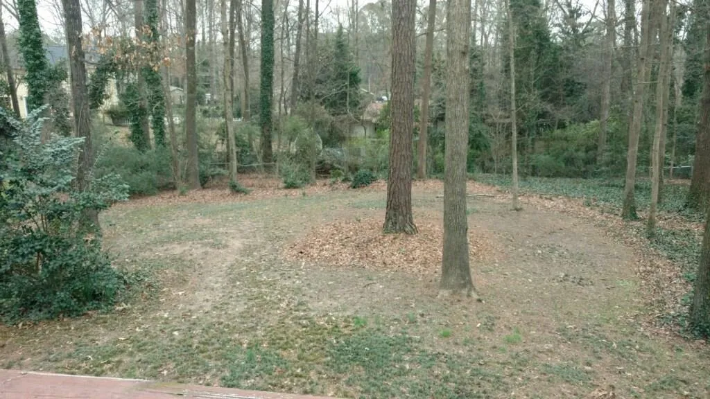 795 Spalding Drive, Sandy Springs, Georgia 30328, 5 Bedrooms Bedrooms, ,4 BathroomsBathrooms,Residential,Sold,795 Spalding Drive,5965835