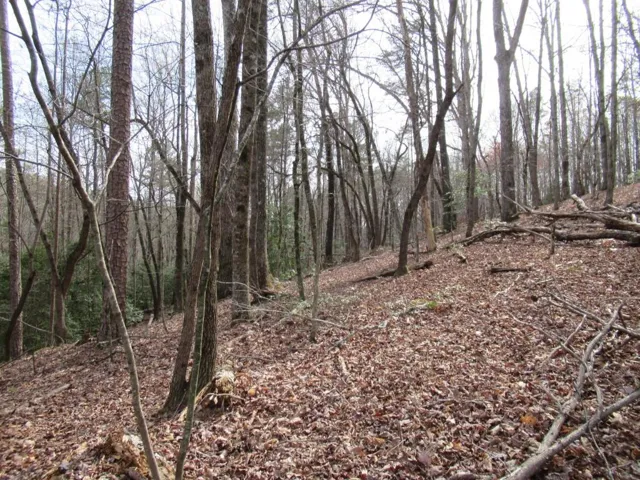 0 Long Branch Road, Dahlonega, Georgia 30533