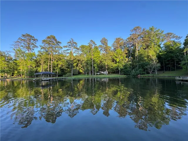 Waterfront property featuring a private covered boat dock, extensive shoreline, mature trees, and a clear expanse of water
