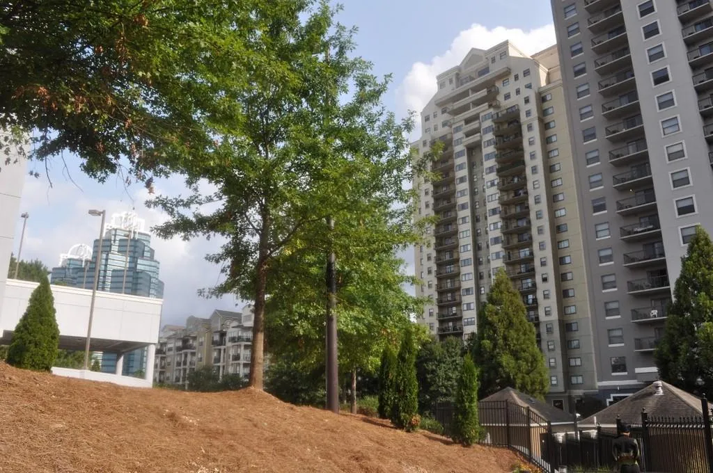 795 Hammond Drive Unit 2007, Atlanta, Georgia 30328, 2 Bedrooms Bedrooms, ,2 BathroomsBathrooms,Residential,Sold,795 Hammond Drive Unit 2007,6785621 795 Hammond Drive Unit 2007, Atlanta, Georgia 30328, 2 Bedrooms Bedrooms, ,2 BathroomsBathrooms,Residential,Sold,795 Hammond Drive Unit 2007,6785621