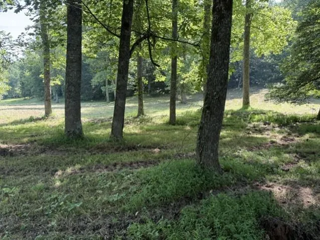 0 Lot 6 Clear Creek Preserve Way, Ellijay, Georgia 30536