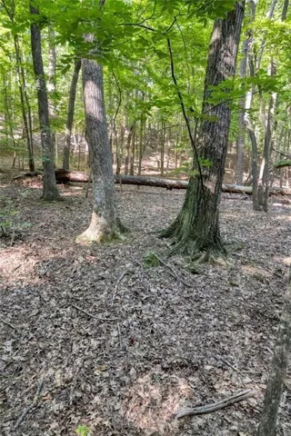 90 Cardinal Cove, Big Canoe, Georgia 30143