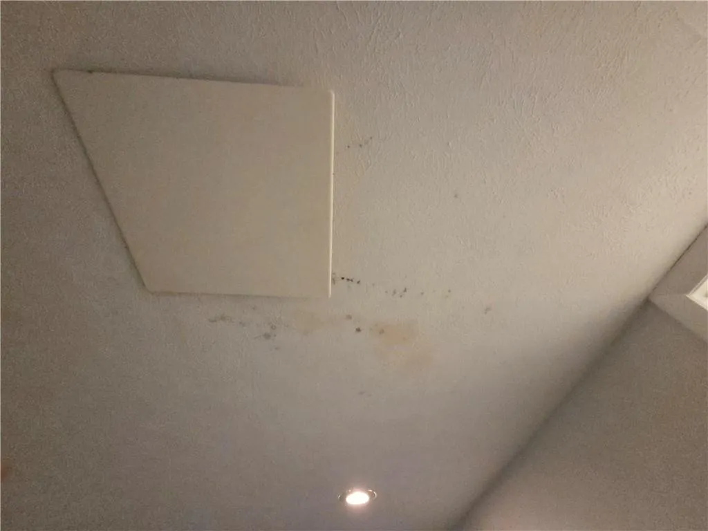 Old stained ceiling in basement