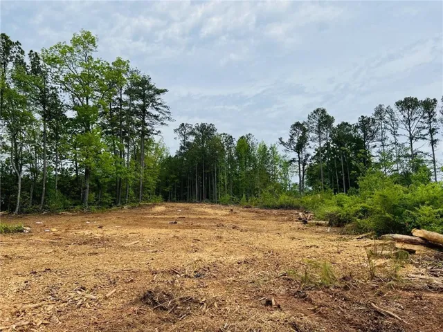 View of undeveloped land