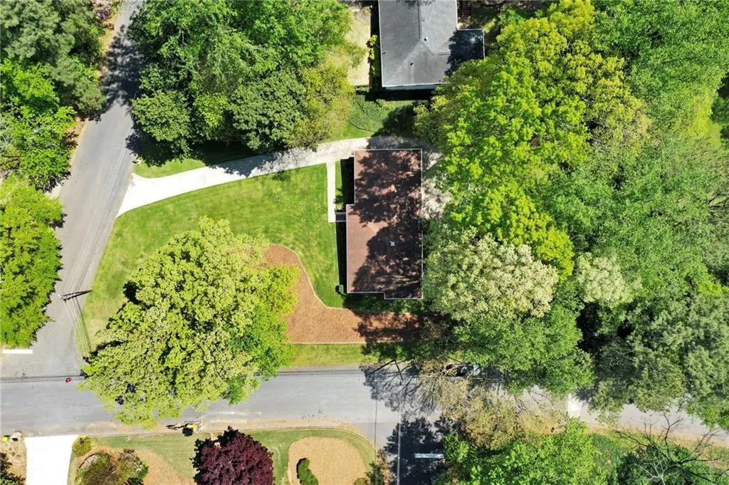 View of bird's eye view