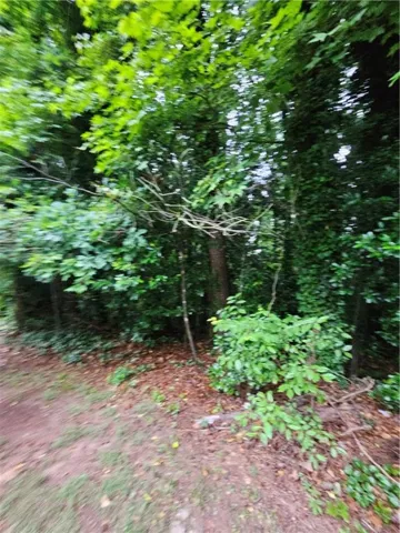2409 Tarian Drive, Decatur, Georgia 30034