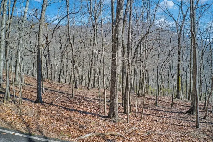 View of wooded area