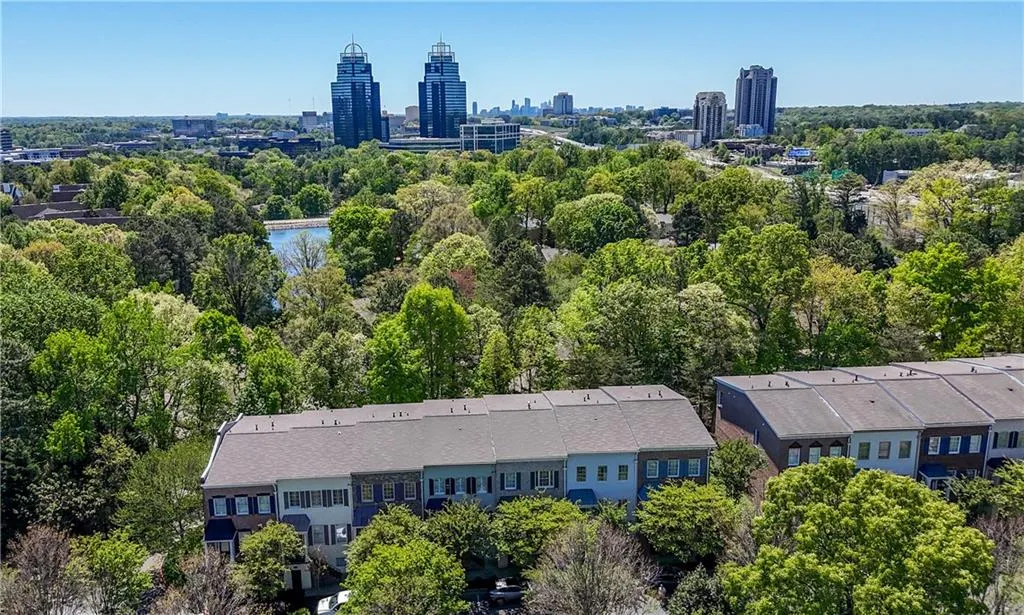 Bird's eye view of a tree filled landscape and skyline